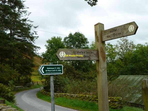 Photo 6"x4" St Mary's Loch Signpost Ettrick c2011