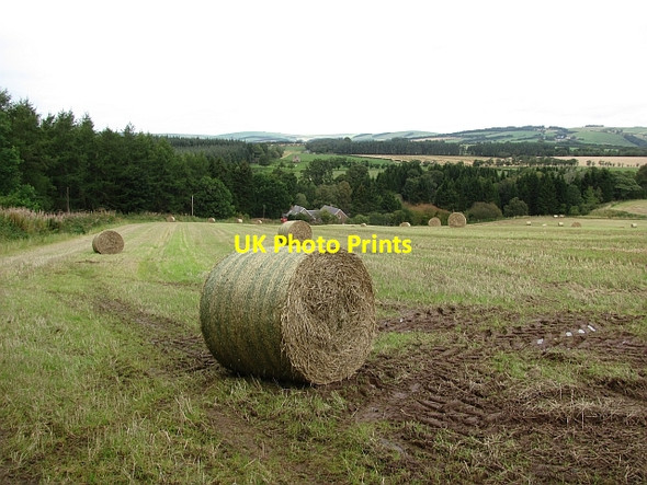 Photo 6"x4" Round bales, Drummonds-hall Lauder c2011