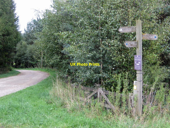 Photo 6"x4" Centenary Way, heading to Coneysthorpe Crambeck c2011