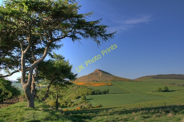 Photo 6"x4" Roseberry Topping from Cliff Rigg Great Ayton c2008