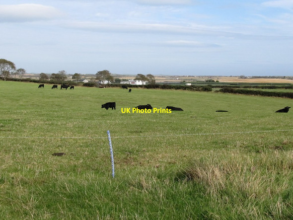 Photo 6"x4" Farmland west of former RAF Bishopscourt Ballyhornan c2011
