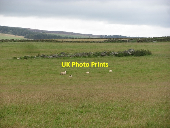 Photo 6"x4" A clearance cairn Jeaniefield c2011
