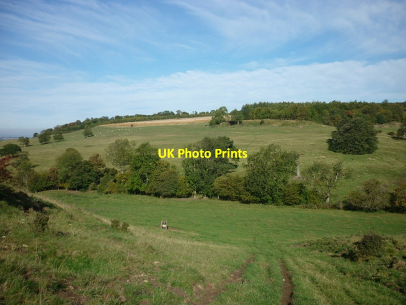 Photo 6"x4" Heading down The Peak towards Whitestone Beck North Grimston c2011