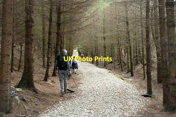 Photo 6"x4" In Clough House Wood Thorgill c2011