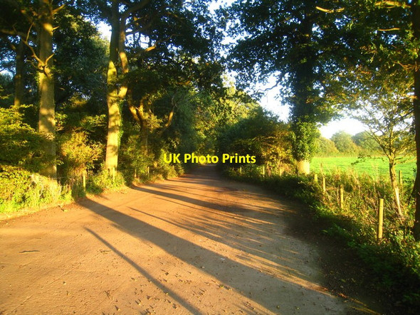 Photo 6"x4" Track by Berrydown Copse Overton\/SU5149 c2011