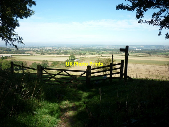 Photo 6"x4" The Vale of Pickering from South Wold Plantation Thorpe Bassett c2011