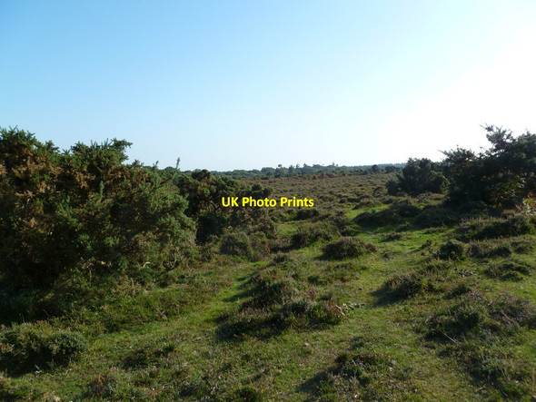 Photo 6"x4" Blackwell Common Blackfield c2011