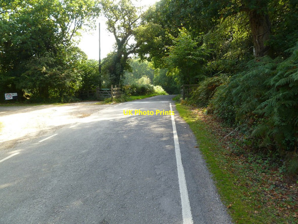 Photo 6"x4" Blackwell Common, cattle grid Exbury c2011
