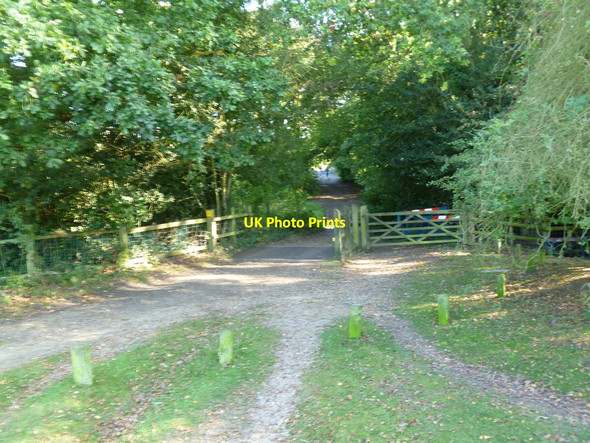Photo 6"x4" Blackwell Common, cattle grid Blackfield c2011