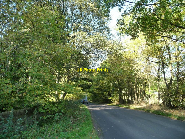 Photo 6"x4" Upper Field Lane High Hoyland c2011