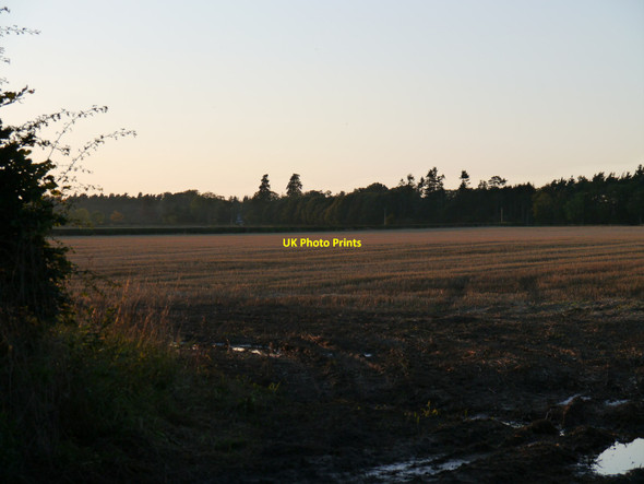 Photo 6"x4" Sunny Autumn Evening Near Whinkerstones Leitholm c2011