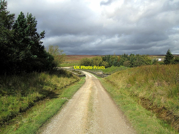 Photo 6"x4" Track on east side of Grimwith Reservoir Keld Houses c2011