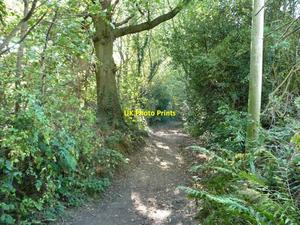 Photo 6"x4" Bridleway to Heald Head Nether End\/SE2407 c2011