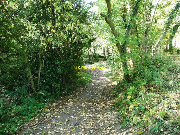 Photo 6"x4" Bridleway to Heald Head Nether End\/SE2407 c2011