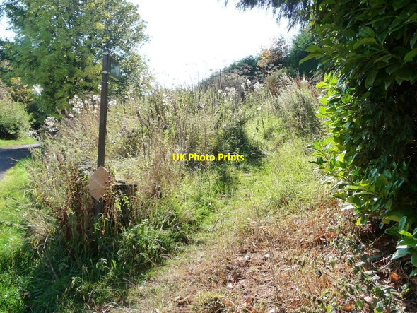 Photo 6"x4" Footpath towards Penistone Penistone c2011