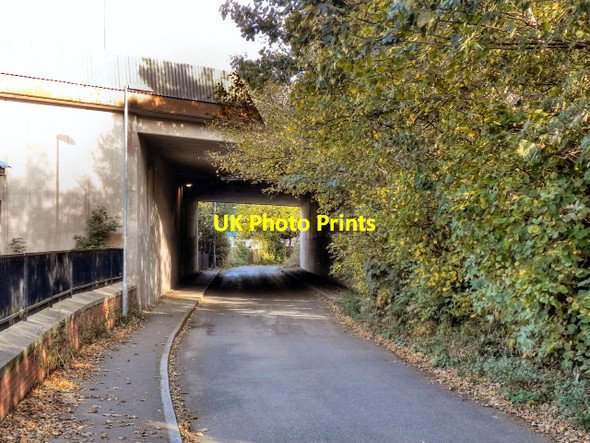 Photo 6"x4" Ford Lane Gatley c2011