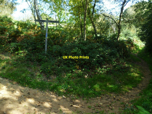 Photo 6"x4" Signpost on Dibdene Lane Norley Common c2011