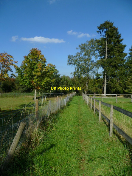 Photo 6"x4" Enclosed footpath to Green Lane Norley Common c2011