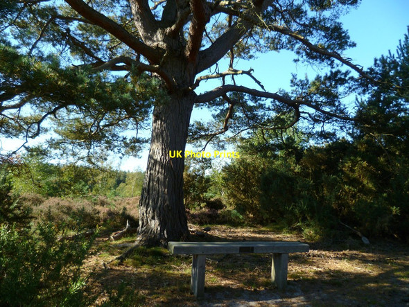 Photo 6"x4" Memorial seat by track on Blackheath Norley Common c2011