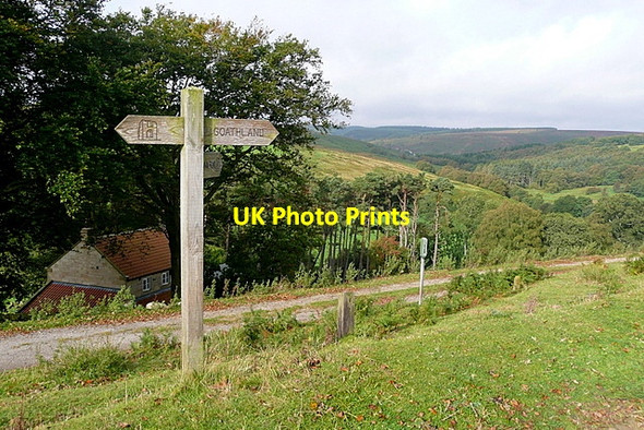 Photo 6"x4" View from Gill View Goathland c2011