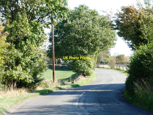 Photo 6"x4" North Lane, near Pashley Green Farm South Lane\/SE2606 c2011
