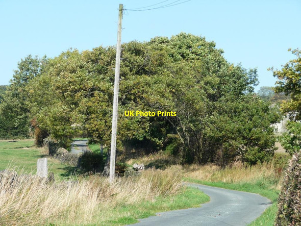 Photo 6"x4" Denby Hall Lane Nether End\/SE2407 c2011