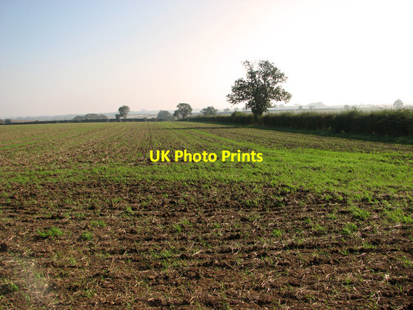 Photo 6"x4" Field boundary hedge, South Ferriby Horkstow Wolds c2011