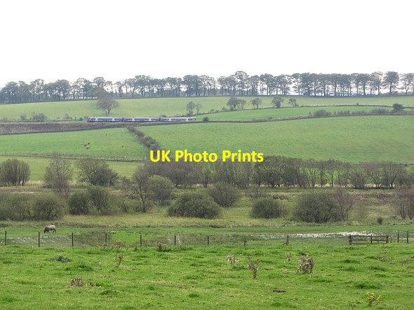 Photo 6"x4" Wetland by the Bonny Water Castlecary c2011