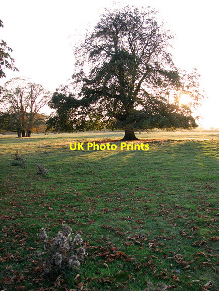 Photo 6"x4" Evening sunshine, Asgarby Asgarby\/TF1145 c2011