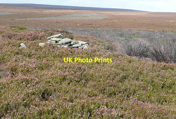 Photo 6"x4" Spot height on Wheeldale Moor Wheedale Plantation c2011