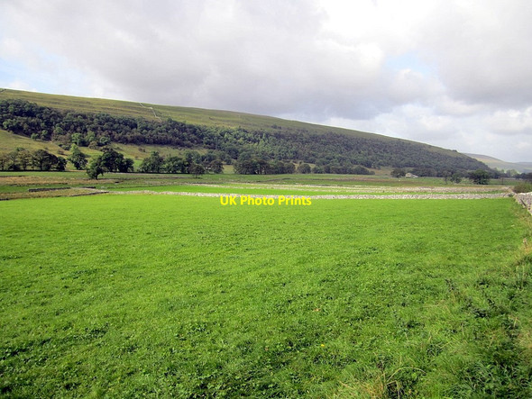 Photo 6"x4" Green pastures of Littondale Arncliffe c2011