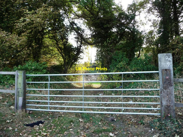 Photo 6"x4" Gate into wooded former quarry Hampole c2011