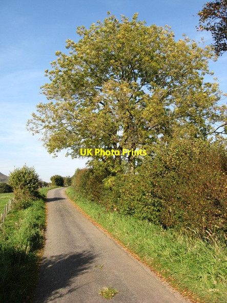 Photo 6"x4" Daleside Road near Urra Seave Green c2011