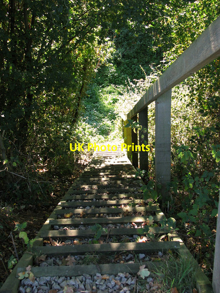 Photo 6"x4" Steps to dismantled railway trackbed, Parham Parham c2011