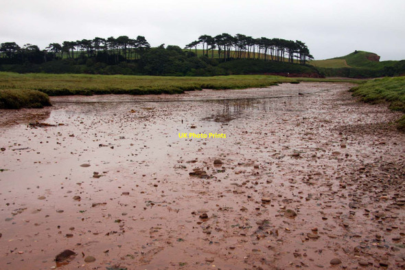 Photo 6"x4" The Otter Estuary Nature Reserve Budleigh Salterton c2011