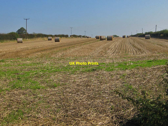 Photo 6"x4" Harvest in and straw baled Appleton-le-Moors c2011