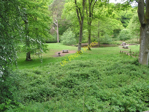 Photo 6"x4" Wench Ford picnic site Viney Hill c2008