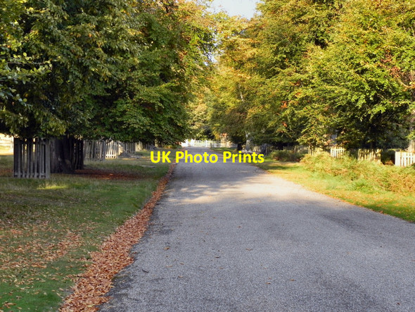 Photo 6"x4" Dunham Park, Main Drive Altrincham c2011
