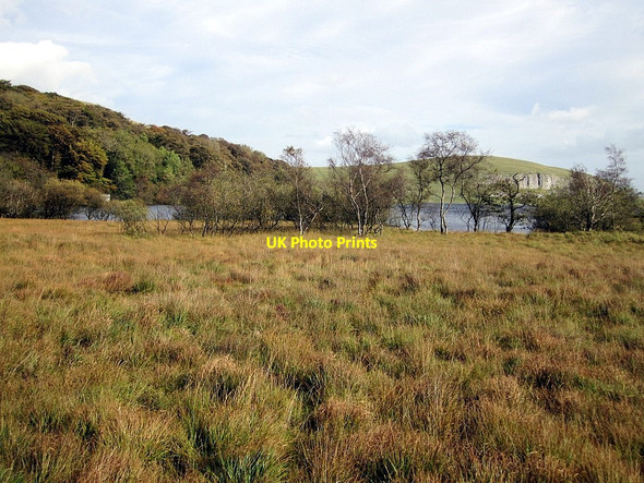 Photo 6"x4" Moss at west end of Malham Tarn Water Houses\/SD8867 c2011