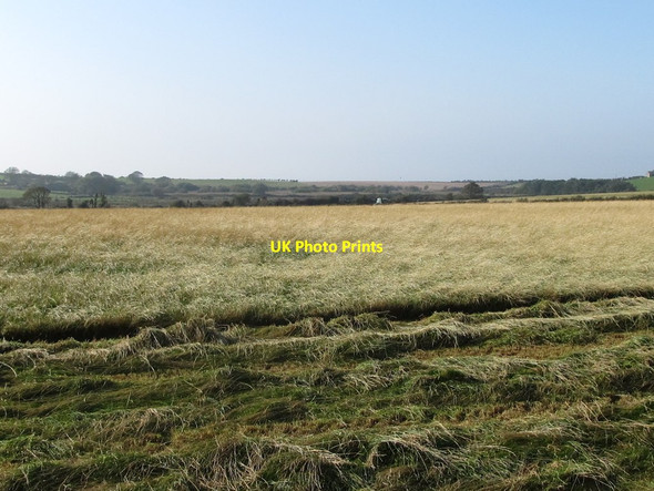 Photo 6"x4" A haylage field being harvested Killough c2011