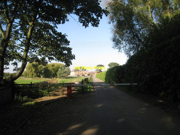 Photo 6"x4" The lane to Manor Farm Fillingham c2011