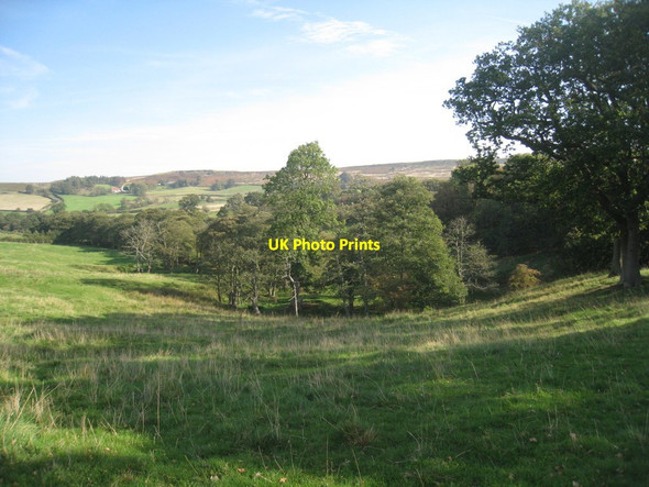 Photo 6"x4" Alongside Whyett Beck Westerdale\/NZ6605 c2011