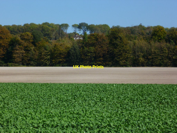 Photo 6"x4" A glimpse of houses at Dale Park Madehurst c2011