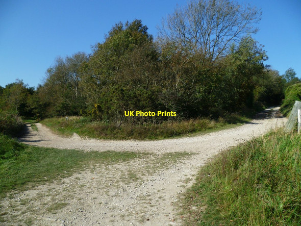 Photo 6"x4" Tracks on Bignor Hill Bignor c2011