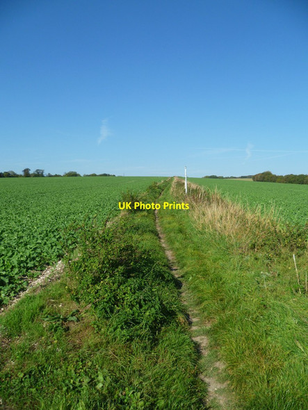Photo 6"x4" Looking north on Great Down Madehurst c2011