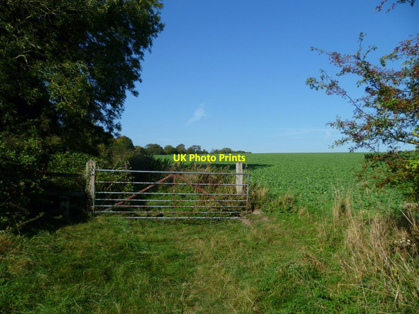 Photo 6"x4" Gate on footpath going up Great Down Madehurst c2011