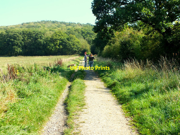 Photo 6"x4" Walking the dog Stour Row c2011