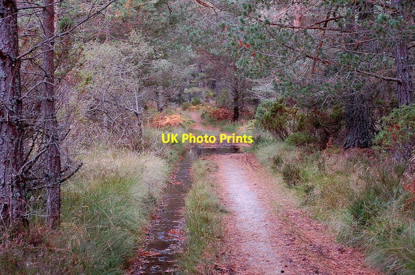 Photo 6"x4" Track above Milton Dalfaber c2011