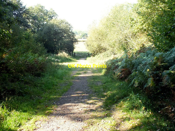 Photo 6"x4" Looking back Stour Row c2011