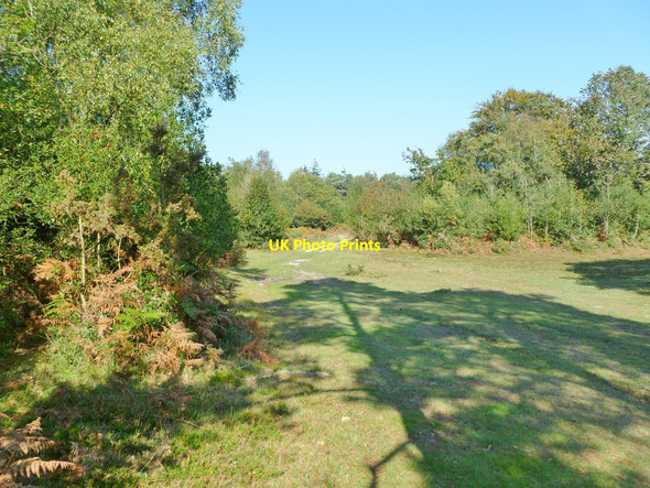 Photo 6"x4" Holmsley Walk, track Thorney Hill\/SZ2099 c2011